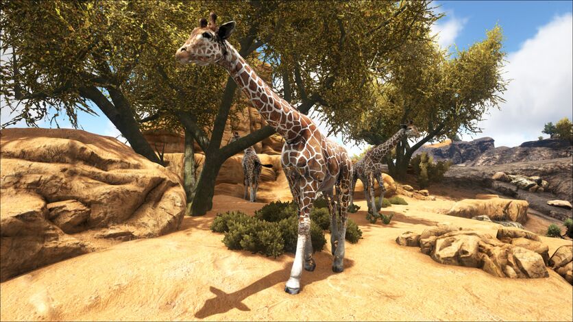 346110 screenshots 20180609192839 1.jpg