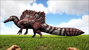 5rgspino.png