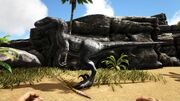 346110 screenshots 20180904150229 1.jpg