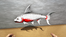 Goliath0x.png