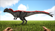 Sinotyrannus1.png