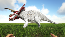 Toro2.png