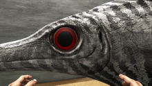 Ophthalmm1.png