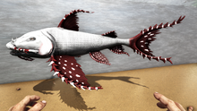 Goonchx4.png