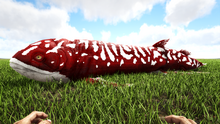Rhizo0.png