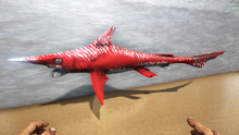 Helicoprion 5.png