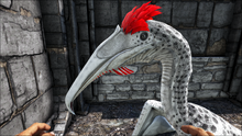 Phosphat1.png