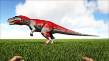 Torvo4.png