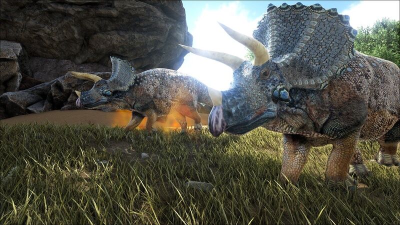 Horridus.jpg
