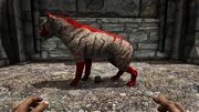 346110 screenshots 20180915113437 1.jpg