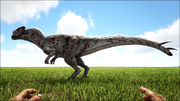 Sinotyrannus3.png