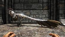 346110 screenshots 20190818231701 1.jpg