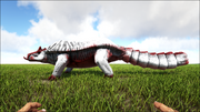 Susecdurus0.png