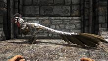 346110 screenshots 20190818231711 1.jpg