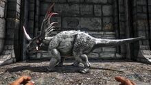 346110 screenshots 20191124065721 1.jpg