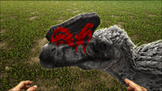 Sinotyrannus2.png