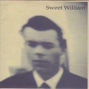 Sweet William Dutch Mother 7" single 1997 Matinée Recordings