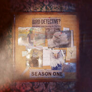 Season 1 cover image.jpg