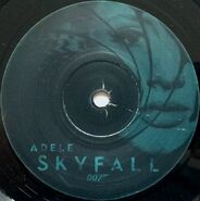 Skyfall Vinyl 3