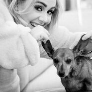 Adele with Louie in her dressing room duriing her 2016 world tour.