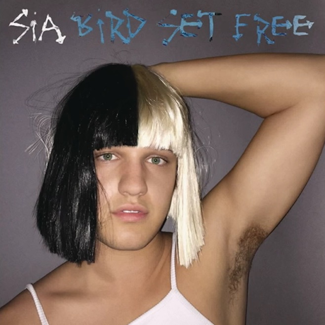 sia all songs free download