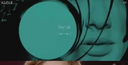 The video page with the lyric video for "Skyfall"