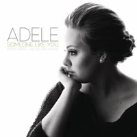 Adelesomeonelikeyouliveinherhome