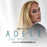 Adele One Night Only art.