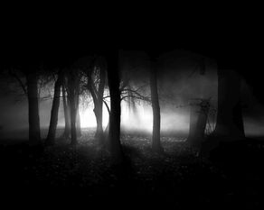 Darkforest