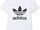 Adidas (T-Shirt)