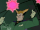 Spellcasting