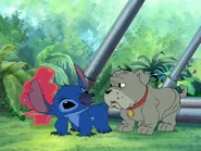 Fu Dog with Stitch