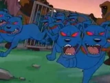 Cerberus