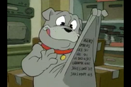 Phone numbers on Fu Dog's fat folds