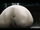Belly