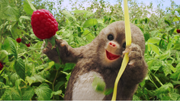Moley with the raspberry
