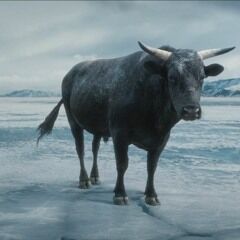 MoneyCalmBull.jpg.jpg