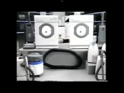 Another one of them.