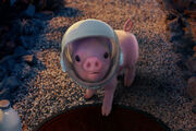 A space Moonpig