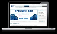 Online advert on Sky.com (2010)