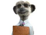 Sergei