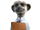 Sergei