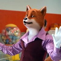 Foxy Foxy