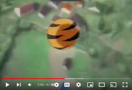 Tony becomes a ball