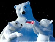 Coke Bears