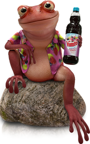 VimtoadRock