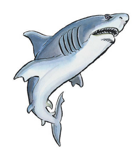 Shark | Advanced Dungeons & Dragons 2nd Edition Wiki | Fandom