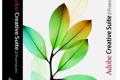 Adobe Creative Suite 2 Standard | Adobe Wiki | Fandom Adobe Creative Suite 2 Standard | Adobe Wiki | Fandom