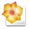 Adobe Illustrator CS2 icon.png