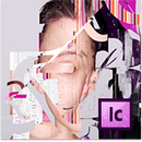 Adobe InCopy CS6 totem